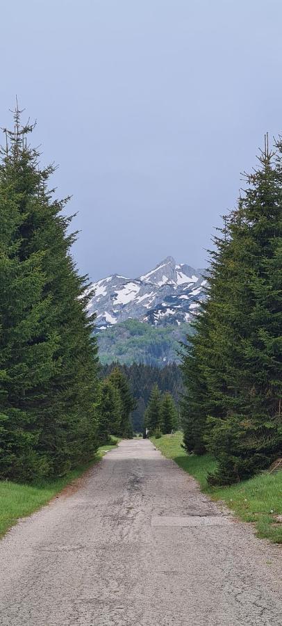 Guest House Tiha Noc Žabljak Zewnętrze zdjęcie