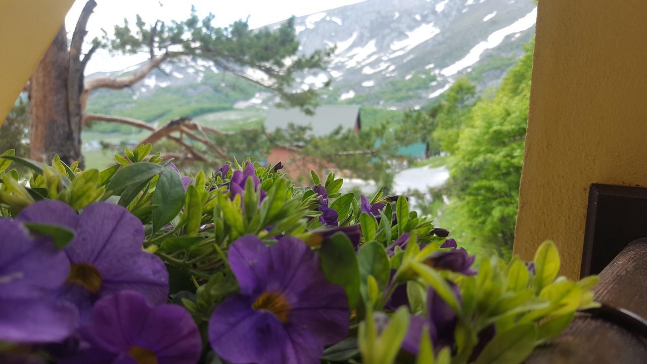 Guest House Tiha Noc Žabljak Zewnętrze zdjęcie