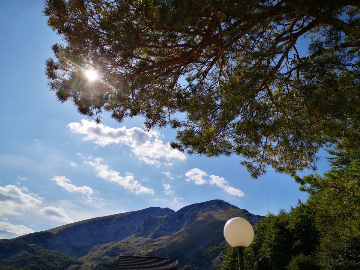 Guest House Tiha Noc Žabljak Zewnętrze zdjęcie